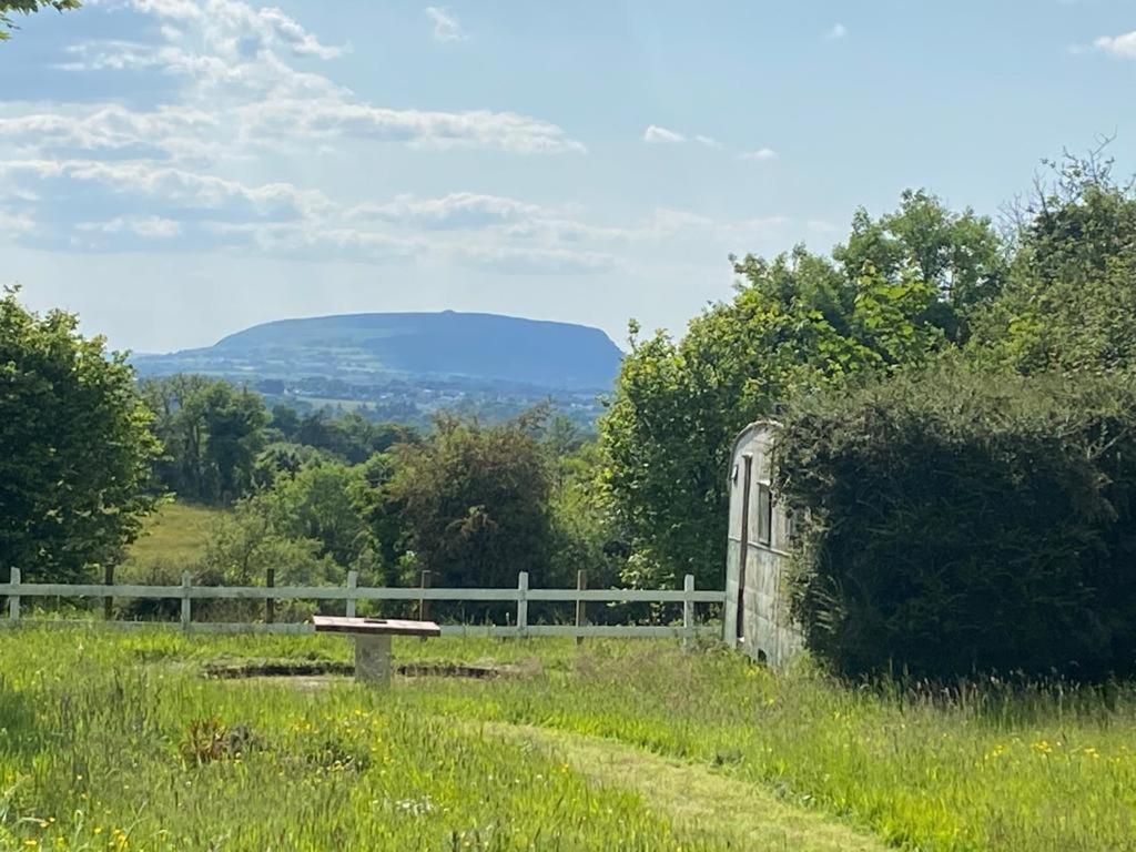 Clover Cottage Sligo Exterior foto