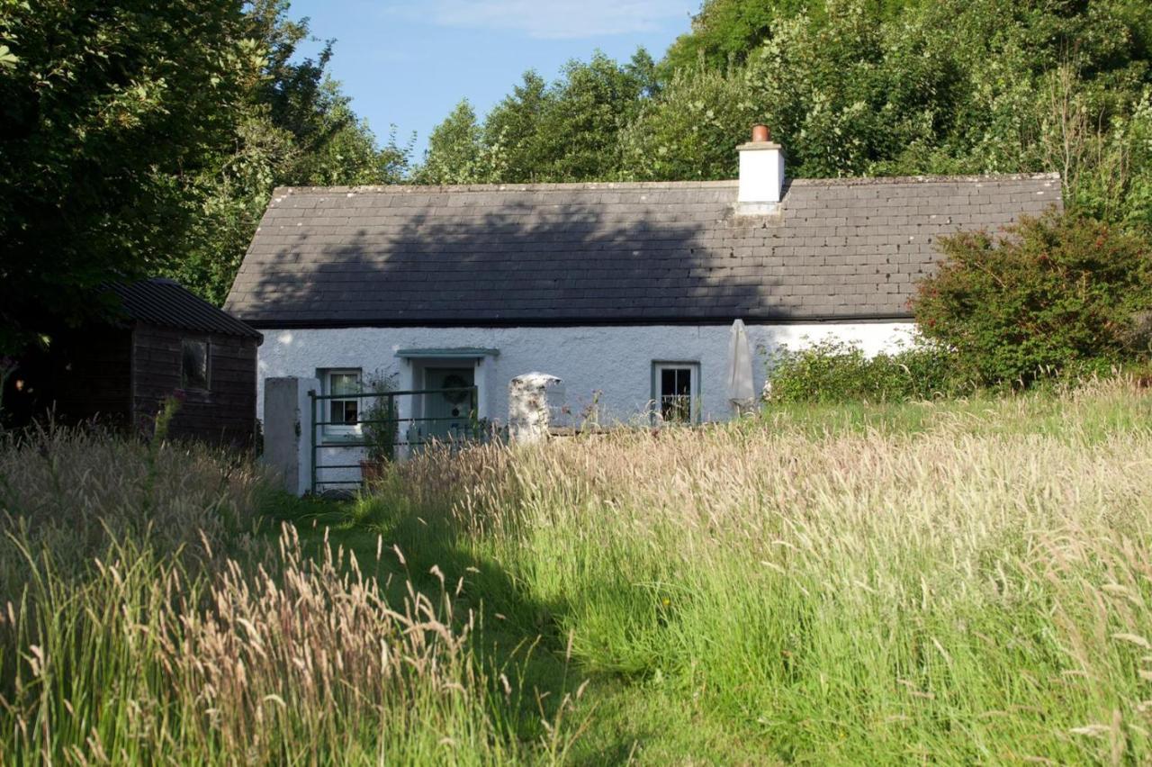 Clover Cottage Sligo Exterior foto